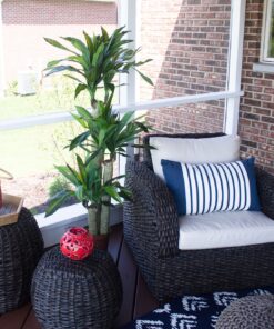 Nearly Natural - 6584 62in. Corn Stalk Dracaena Silk Plant (Real Touch), 24" x 28" x 62", Green artificial plant 40 91KvrVqXBL