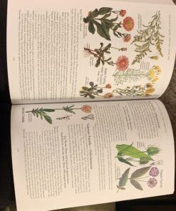 Botany in a Day: The Patterns Method of Plant Identification 21 91L0HO7lOkL