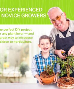 Plant Theatre Bonsai Tree Kit - Indoor Plant Growing Kit w/ 3 Mini Bonsai Seed Packs, 6 Pots, 6 Peat Discs and 6 Propagator Bags - Gardening Gifts for Men, Women and Room Decor - Crafts for Adults 35 91LC4xpyc L