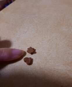 Wellness Kittles Crunchy Natural Grain Free Cat Treats, Salmon & Cranberry, 2-Ounce Bag 2 Ounce (Pack of 1) 35 91LD53HEYAL 1