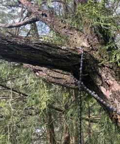 Sportsman Pocket Chainsaw 36 Inch Long Chain With Fire Starter Best Compact Folding Hand Saw Tool for Survival Gear, Camping, Hunting, Tree Cutting or Emergency Kit. Replaces Your Pruning & Pole Saw 48 91LKCdOTGFL