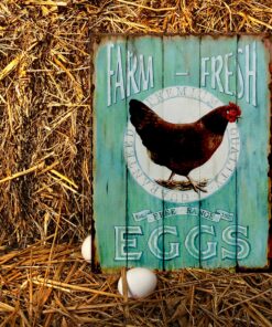 Barnyard Designs 'Farm Fresh Free Range Eggs' Retro Vintage Metal Tin Bar Sign, Decorative Wall Art Signage, Primitive Farmhouse Country Kitchen Home Décor, 10" x 13" Eggs Hen 20 91LVdO8fguL