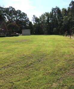 Scotts Turf Builder Grass Seed Bermudagrass, Mix for Full Sun, Built to Stand Up to Heat & Drought, 5 lbs. 5 lb. 92 91LXMA2wKHL