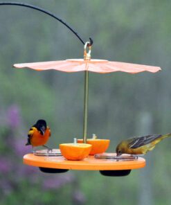 Kettle Moraine Super Oriole Recycled Orange Fruit, Jelly, Mealworm Bird Feeder w/Orange Roof 28 91LaRft4SsL