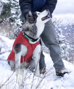 Kurgo Loft Dog Jacket, Reversible Dog Coat, Wear with Harness or Sweater, Water Resistant, Reflective, Winter Coat For Medium Dogs (Chili Red, M) Chili Red/Charcoal 36 91Lb5R u5L