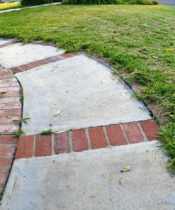 Worx Edger Lawn Tool, Electric Lawn Edger 12 Amp 7.5", Grass Edger & Trencher WG896 12-Amp 7.5" Electric Lawn Edger & Trencher 64 91LzxOvaRpL