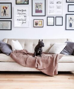 Pearhead Dog Or Cat Paw Prints Pet Wall Frame With Clay Imprint Kit, Pet Sentiment Keepsake Frame, Pet Memorial Picture Frame, Espresso 4 x 6" 26 91M79ZGHy2L