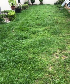 Great States 415-16 16-Inch Reel Mower Standard Full Feature Lawn Mower with T-Style Handle and Heat Treated Blades 16-Inch, 5-Blade Reel Only 57 91MMulqILPL