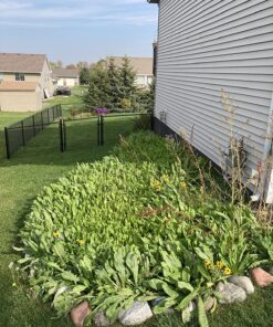 90,000 Wildflower Seeds - 3oz Pure Wild Flower Seed Pack - 25 Variety - Perennial Flower Seeds for Attracting Birds & Butterflies - Open Pollinated, Flower Garden Seeds for Planting Outdoors Perennial (3oz) 49 91MOtrsW3KL