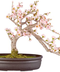 Alternative view of Nearly Natural 4764 15in. Cherry Blossom Bonsai Silk Tree , Pink