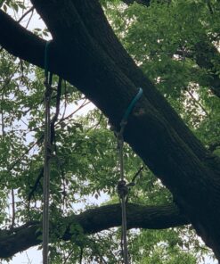 Swurfer Stand Up Tree Swing, Outdoor Swing - Swingset Outdoor for Kids with Adjustable Handles, Outdoor Swing for Kids, Outdoor Play, Durable, Weatherproof, Easy Installation, 200lbs, Ages 6 and Up Brown/Green 22 91MPTk5SWTL