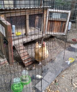 MidWest Homes for Pets Foldable Metal Dog Exercise Pen / Pet Playpen, Black w/ door, 24'W x 48'H, 1-Year Manufacturer's Warranty 48" H 39 91MaI0RK NL