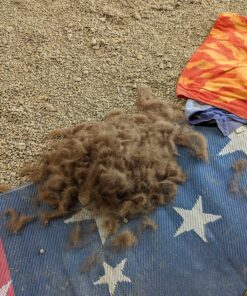 DakPets Pet Deshedding Tool | Professional Cat and Dog Brush for Shedding | Fur Deshedding Brush and Pet Hair Remover for Cats and Dogs | Stainless Steel Cat and Dog Shedding Brush for Pet Grooming Hot Pink 52 91MguolRJmL