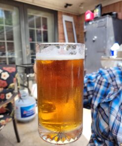 Mr. Beer Complete Beer Making 2 Gallon Starter Kit, Premium Gold Edition, Brown Complete Kit 43 91MxG1AonL