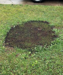 Scotts EZ Seed Patch & Repair Sun and Shade Mulch, Grass Seed, Fertilizer Combination for Bare Spots and Repair, 4 lb 3.75 lb. 1 Pack 49 91N55Et seL