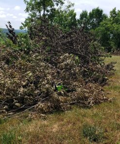 Greenworks 40V 16" Brushless Cordless Chainsaw (Great For Tree Felling, Limbing, Pruning, and Firewood / 75+ Compatible Tools), 4.0Ah Battery and Charger Included 16" (4.0Ah) Gen 1 49 91N6MaUT8L