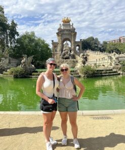 Travelon Women's Anti-Theft Classic Messenger Bag, Black, One Size 33 91NMaygYOlL