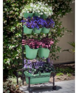 Watex Mobile Green Wall (Double Frame, Spring Bouquet), BPA Free Planters Double Frame 20 91NP0g6cXxL