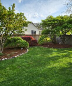 Worx String Trimmer Cordless & Edger 20V 10" - 12" Weed Trimmer PowerShare (Battery & Charger Included) WG154 27 91NYaazIRXL