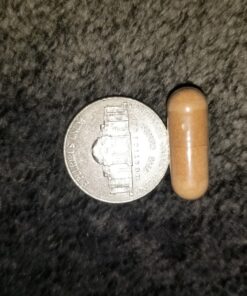 Green Tea Extract 98% Standardized with EGCG | Healthy Weight Support, Metabolism, Energy, Heart Health | Green Tea Capsules are Natural Caffeine Pills with Antioxidant & Free Radical Scavenger 1000mg 30 91NZbwM7Y0L 3