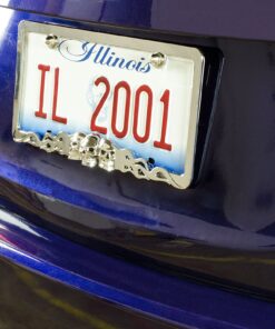 Custom Accessories 92812 Skull in Flames License Plate Frame 7 91NkIMdQQqL