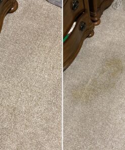 BISSELL Professional Power Shot Oxy Carpet Spot and Stain Remover, 14 ounces, 95C9 49 91NkrmoaCIL