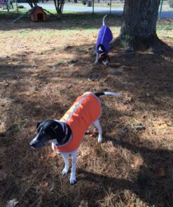 Zack & Zoey Nor'easter Blanket Coat for Dogs, 20" Large, Orange 1 L (Neck: 17", Girth: 28", Back: 20") 43 91NsLEhTL 3
