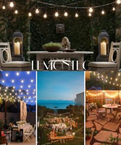 Lemontec Commercial Grade Outdoor String Lights with 15 Hanging Sockets - 48 Ft Black Weatherproof Cord Weatherproof Strand for Patio Garden Porch Backyard Party Deck Yard – S14 Black 26 91NyBMjr9yL