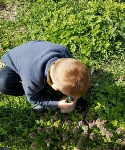 Carson MicroBrite 20x-40x LED Lighted Pocket Microscope for Learning, Education and Exploring (MM-24) 1 MicroBrite Microscope (MM-24) 42 91O599h1XTL