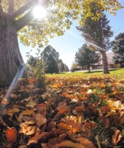 GoPro Hero5 Session, 1080p GoPro 32 91OCOLIGGiL