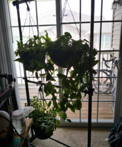 Honey-Can-Do GAR-01767 Dual Rod Expandable Garment Rack with Wheels, ,Black,60in L x 17in W x 73in H 20 91ORL23dsPL