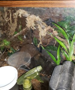 Great Stuff 283064 12OZ GS Pond&Stone Foam Sealant, Each, Black Pond & Stone 45 91OV6qq1qlL