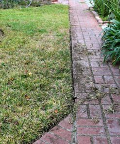 Worx Edger Lawn Tool, Electric Lawn Edger 12 Amp 7.5", Grass Edger & Trencher WG896 12-Amp 7.5" Electric Lawn Edger & Trencher 65 91OY6Tfg1EL