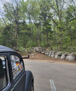 Delkin Devices Fat Gecko Mini Suction Camera Mount (DDMOUNT-MINI),black Fat Gecko Single 34 91Oc1 ZaYxL