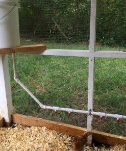 10 PVC Tee for Threaded Red Chicken Nipples Or Threaded Brass Rabbit Nipples 23 91OjWyrhlmL