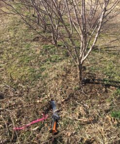 Fiskars 18 Inch Billhook Saw (1-Pack) 9 in Blade 19 91On7bAmHOL