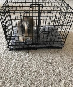 MidWest Homes for Pets Newly Enhanced Double Door iCrate Dog Crate, Includes Leak-Proof Pan, Floor Protecting Feet, Divider Panel & New Patented Features, Black X-Small 62 91OnOWxc4ZL 3