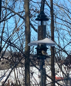 Weather Guard for Squirrel Buster Plus Bird Feeder (FEEDER NOT INCLUDED) 13" Diameter 36 91OnR6IGF9L