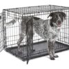 MidWest Homes for Pets Newly Enhanced Double Door iCrate Dog Crate, Includes Leak-Proof Pan, Floor Protecting Feet, Divider Panel & New Patented Features 36 inch (Pack of 1) 38 91OnfDpO1hL