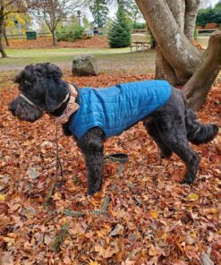 Kurgo Loft Dog Jacket, Reversible Dog Coat, Wear with Harness or Sweater, Water Resistant, Reflective, Winter Coat For Large Dogs (Coastal Blue, L) Coastal Blue/Orange 45 91Ou6 tp3L