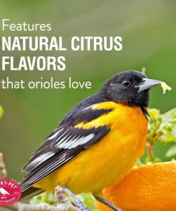 Perky-Pet 4501-6 Ready-to-Use Oriole Food, 1 Liter 11 91P353aNb7L