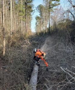 Husqvarna Technical Apron Wrap Chainsaw Chaps 36- to 38-Inch, Chainsaw Safety Equipment with 5 Layers, Adjustable Belt and Gear Pocket, Orange 36-38 In. Orange/Gray Tech. 37 91P4EHT9VbL