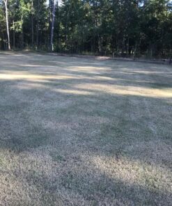 Scotts Turf Builder Grass Seed Bermudagrass, Mix for Full Sun, Built to Stand Up to Heat & Drought, 5 lbs. 5 lb. 86 91P9Y04TCL