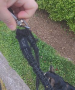 Pet Fit For Life 64" Premium Two Dog Leash: Premium Double Leash for Dogs, Provides Control and Comfort - Durable Foam Rubber Handle, Shock Absorbing Cord - Includes Bonus Collapsible Water Bowl Large 41 91PFzbYAcIL