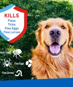 Adams Flea & Tick Spray For Dogs and Cats | Kills Fleas and Ticks Through Contact, Kills Flea Eggs, Flea Larvae, and Prevents Flea Egg Hatch | Controls Flea Reinfestation For Up To 2 Months | 16 Oz 21 91POno5hTDL