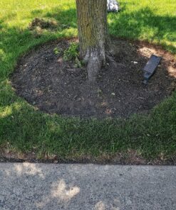 Worx Edger Lawn Tool, Electric Lawn Edger 12 Amp 7.5", Grass Edger & Trencher WG896 12-Amp 7.5" Electric Lawn Edger & Trencher 73 91PPmo6ficL