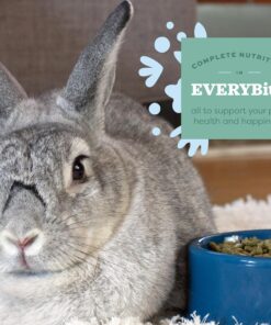 Oxbow Essentials Adult Rabbit Food - All Natural Adult Rabbit Pellets - Veterinarian Recommended- No Seeds, Fruits, or Artificial Ingredients- All Natural Vitamins & Minerals- Made in the USA- 10 lb. 10 Pound (Pack of 1) 28 91PTlbk7zBL