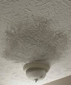 Crow's Foot Drywall Paint Texture Roller - Apply Decorative Raised Texture to Walls and Ceilings 21 91Q1m5CsKrL