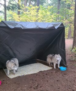 Kotap 12 x 12 Ft. Heavy-Duty Protection/Coverage Tarp, Superior Weave for Greater Longevity, 10-mil Multi-Use, Waterproof, TRS-1212, Silver (1-Pack) Heavy Duty Protection, 10-mil Size: 12' X 12' 23 91Q7wR9A9KL