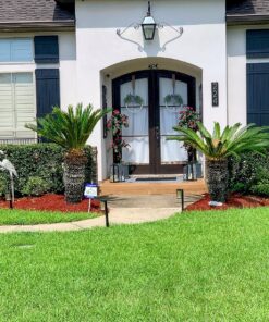 Nearly Natural 5228 Mini Bougainvillea Topiary Beauty, 5-Feet,9" x 9" x 62.5" , Green Plant 28 91QIdPYmJGL